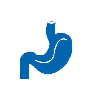 Understanding Gastric and GEJ Cancer